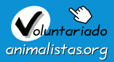 Voluntariado